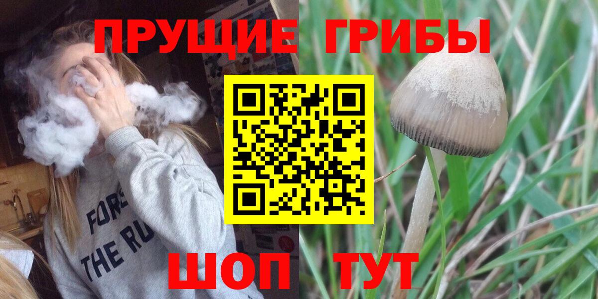 Гулькевичи  купить   Псилоцибиновые грибы Magic Shrooms  Вход с VPN  Псилоцибиновые грибы Cubensis 